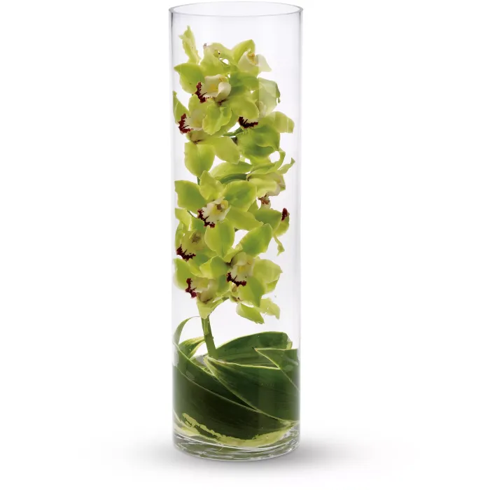 Zensational - T82-2A ($89.05)