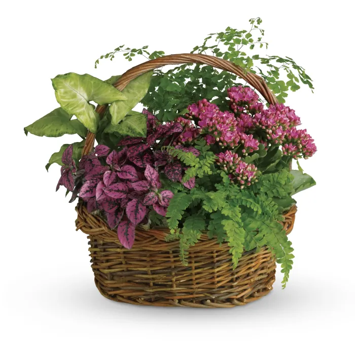 Secret Garden Basket - T96-2A ($66.55)
