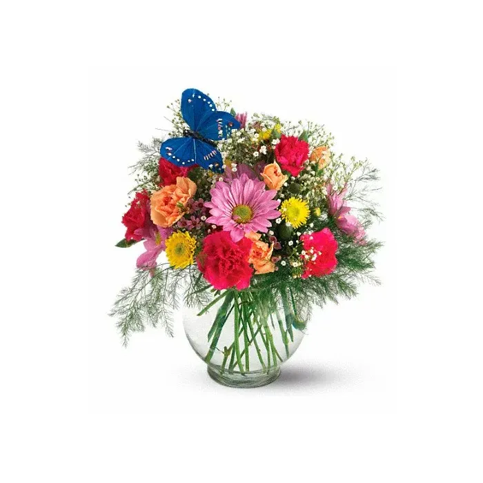 Teleflora's Butterfly & Blossom Vase - TF-F1 ($44.05)