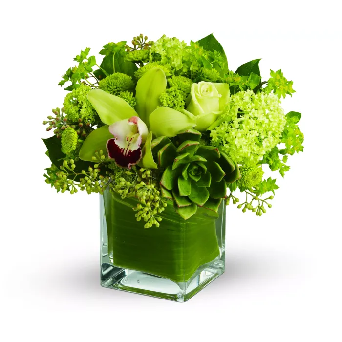 Rainforest Bouquet - TFWEB578 ($62.95)