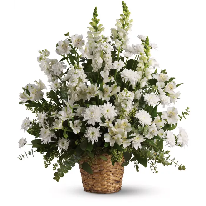 Heavenly Light - T262-2A ($80.05)