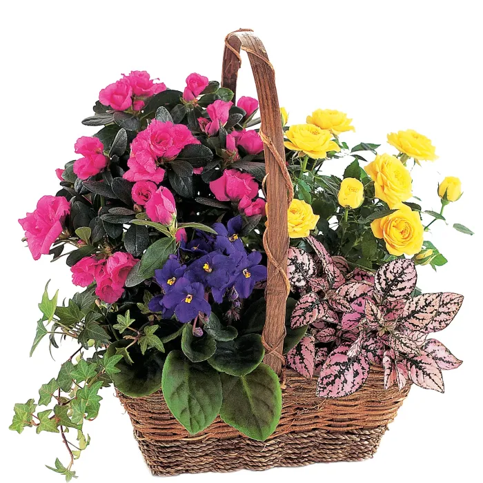 Blooming Garden Basket - TF191-1 ($64.75)