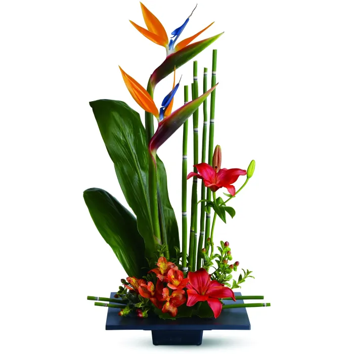 Paradise Found - TFWEB386 ($60.25)