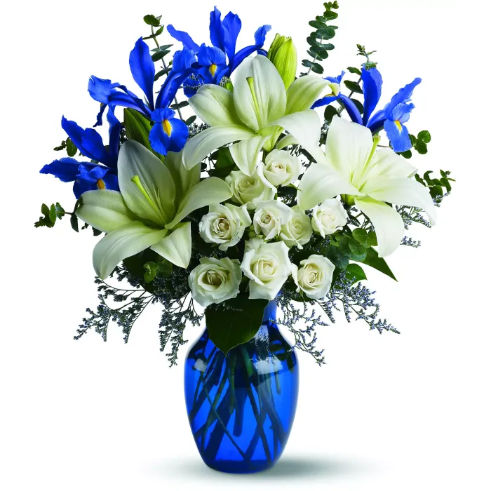 Blue Horizons - TFWEB488 ($55.75)