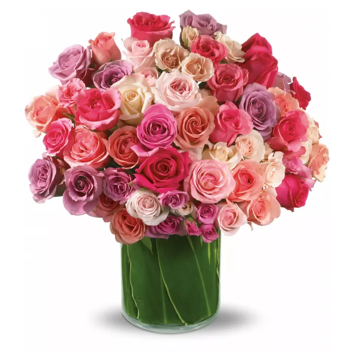 Rose Rapture - TRS03-1A ($179.05)