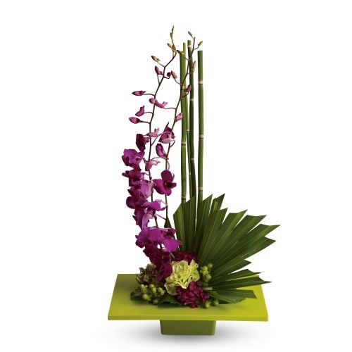 Flower Type: Orchid | Flower Shopping