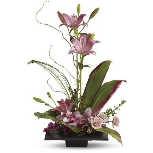 Flower Type: Orchid | Flower Shopping