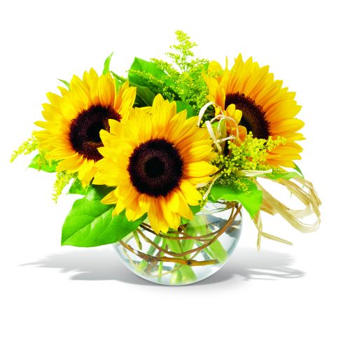 Teleflora's Sassy Sunflowers