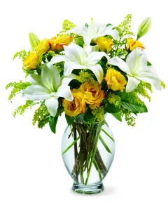 Paradise Tribute Spray - TFWEB562 ($188.95)