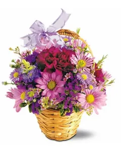 Spirited Spring - TF51-1 ($91.75)