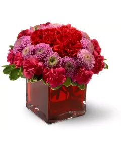 Teleflora's Pretty Pink Lilies - TFWEB346 ($85.45)