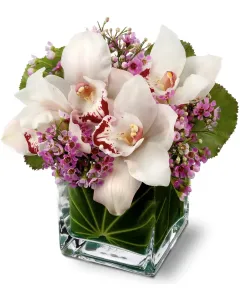 Sacred Garden Spray - T249-4A ($201.55)