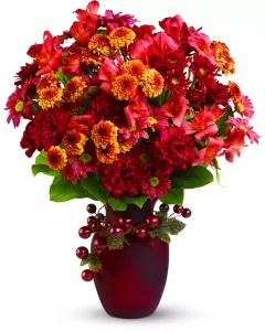 Orange Zest - TF-WEB68 ($53.05)