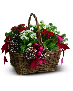Candy Cane Basket - TF86-4 ($51.25)