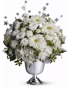 Lovely and Luminous - TFWEB472 ($85.45)