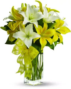 Teleflora's Heavenly Grace - TFWEB539 ($98.95)