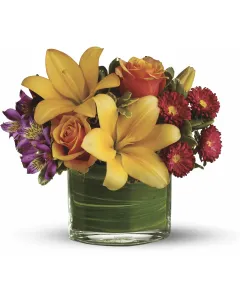 Zen Protea - TFWEB382 ($89.95)