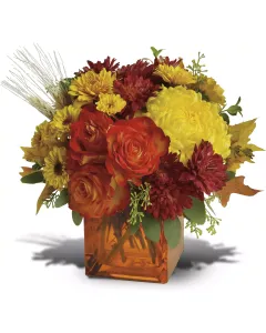Autumn Expression - TFWEB590 ($42.25)