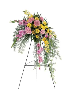 Divine Orchid - T99-1A ($93.55)